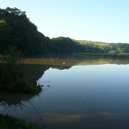 Rumleigh Farm Bere Alston Dış mekan fotoğraf