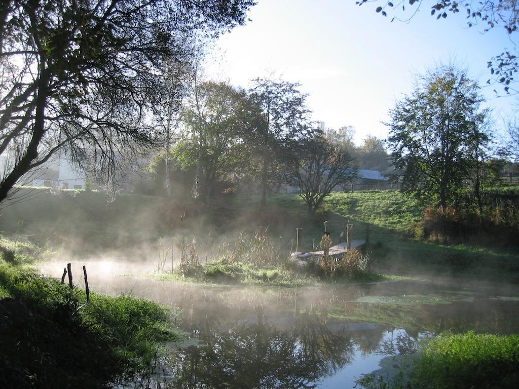 Rumleigh Farm Bere Alston Dış mekan fotoğraf