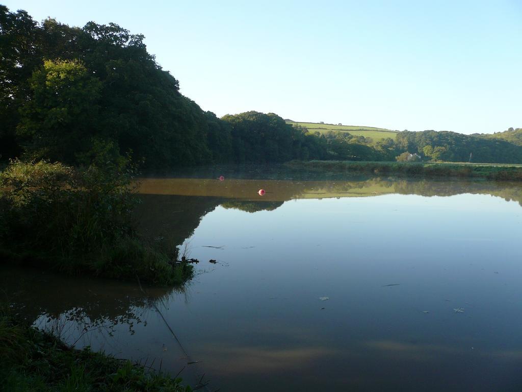 Rumleigh Farm Bere Alston Dış mekan fotoğraf